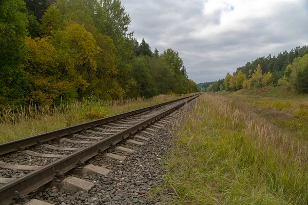 Ferrovia Nella Foresta Autunnale Giorno Foresta Autunno — Foto Stock