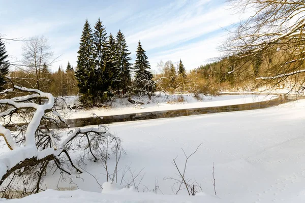 Rivier Het Winterbos Gaat Verte Winterse Natuur Van Belarus — Stockfoto