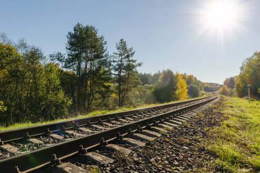Gündüz vakti sonbahar ormanlarında demiryolu. Güzel sonbahar doğası.