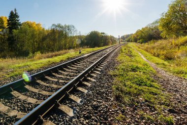 Sonbahar ormanında demiryolu. Sonbahar Orman Günü