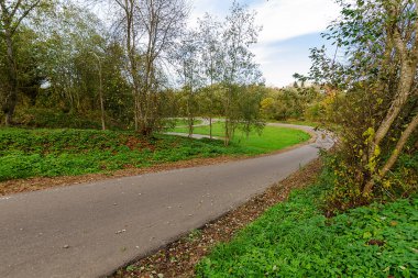 Sonbahar ormanında biatlon rotası. Biatlon Stadyum Günü
