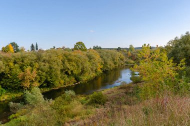 Nehir sonbahar ormanında akıntıdır. Sonbahar doğasının güzelliği