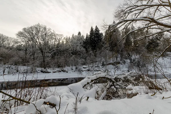 Winterpad Naast Rivier Die Het Winterbos Stroomt Aard Van Belarus — Stockfoto