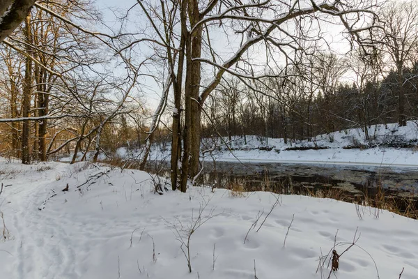 Rivier Winter Besneeuwd Bos Zonnige Dag Prachtige Natuur Van Wit — Stockfoto