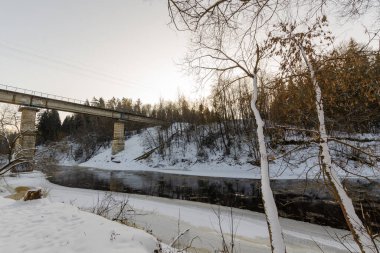 Kış karlı ormanlarında nehir. Güneşli bir gün. Beyaz Rusya 'nın güzel doğası