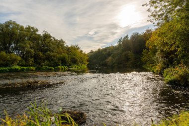Nehir sonbahar ormanından akıyor. Sonbaharda gün batımından önce nehir