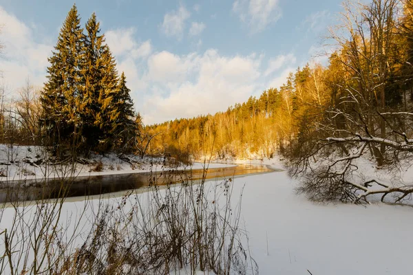 River Extending Winter Forest Beautiful Nature Winter — Stockfoto