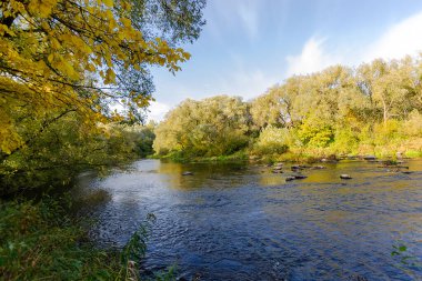 Nehir sonbahar ormanından akıyor. Sonbahar Orman Günü