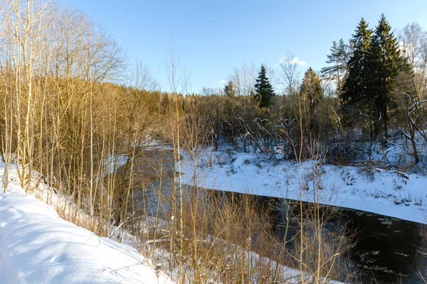 River Extending Winter Forest Beautiful Nature Winter — Stockfoto