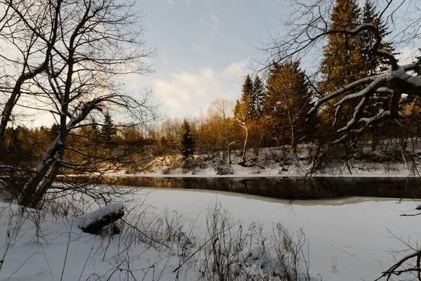 River Extending Winter Forest Beautiful Nature Winter — Stock Photo, Image