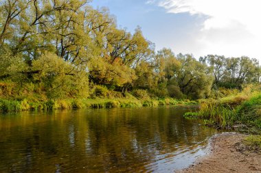 Nehir sonbahar ormanından akıyor. Sonbahar Orman Günü