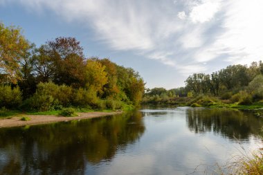 Sonbahar ormanındaki nehir akıntısı. Güzellik sonbahar doğası