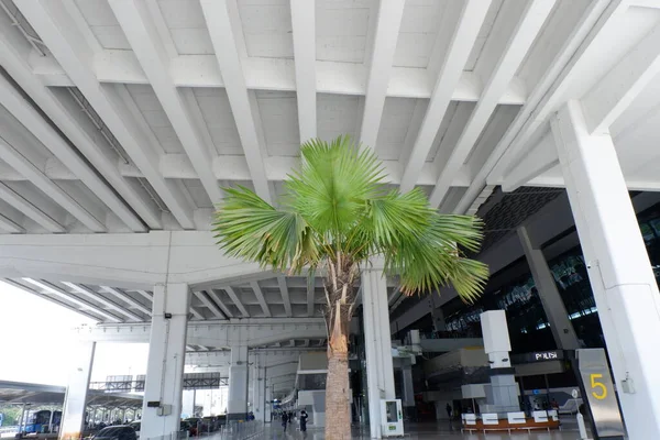 Şehrin modern binası