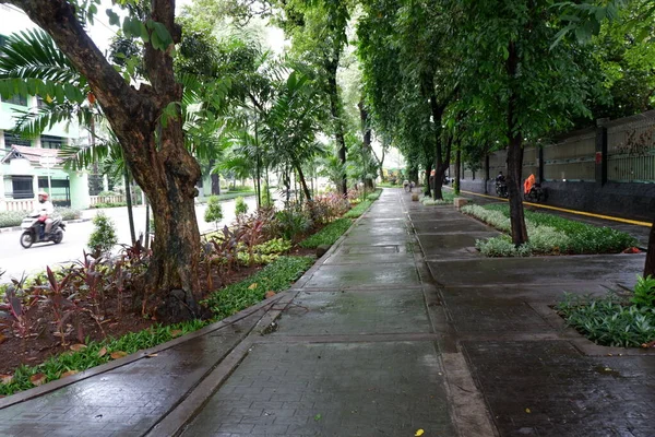 Şehir parkının güzel manzarası