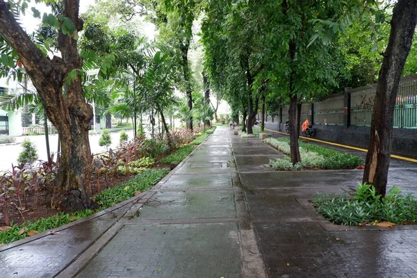 Parkın güzel manzarası