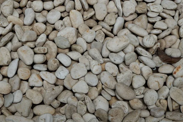 Taşların ve çakıl taşlarının arkaplanı