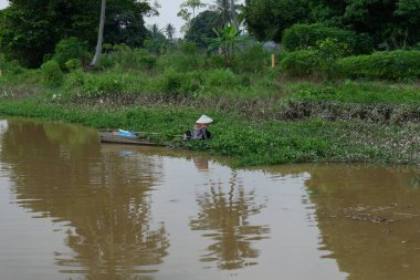 Natural scenery filled with trees with a murky river