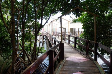 Güney Sulawesi 'deki Mangrove Ormanı Turizm Manzarası