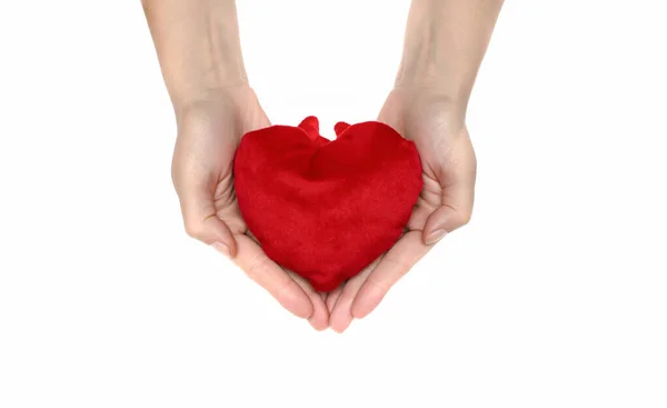 Mujer Mantenga Corazón Felpa Roja Manos Aisladas Sobre Fondo Blanco —  Fotos de Stock
