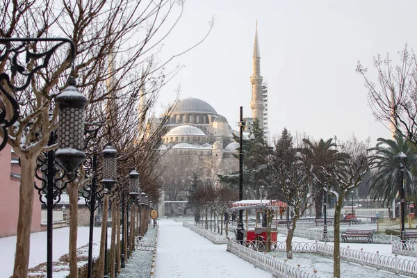 Istanbul Turkey Januari 2021 Den Blå Moskén Turkiska Det Sultanahmet — Stockfoto