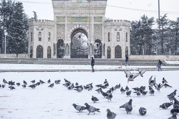 Ιστανβουλ Τουρκια Ιανουαριου 2021 Κεντρική Πύλη Εισόδου Του Πανεπιστημίου Της — Φωτογραφία Αρχείου