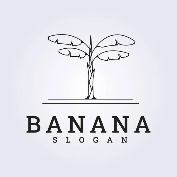 Moderní Line Art Banán Strom Logo Vektorové Ilustrace Design — Stockový vektor