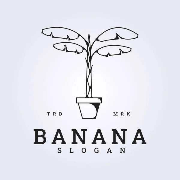 香蕉树矢量标识画线艺术设计 盆内香蕉树 — 图库矢量图片