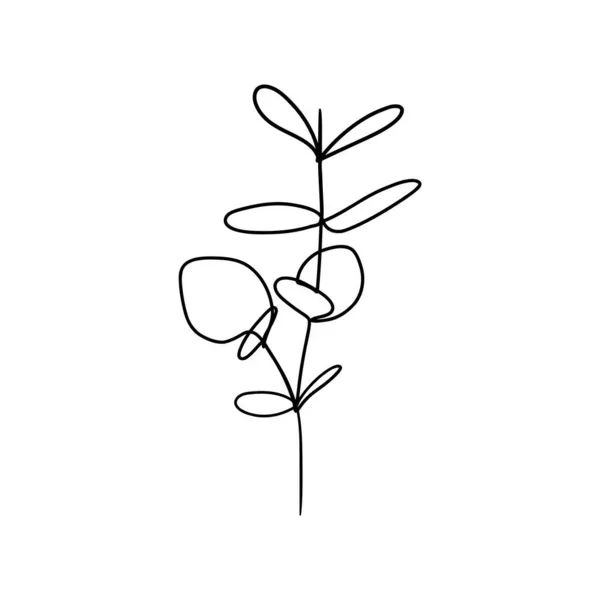 Ботаническая цветочная ветвь. Абстрактная непрерывная рисование одной линии, органические травы листвы. Векторная иллюстрация — стоковый вектор