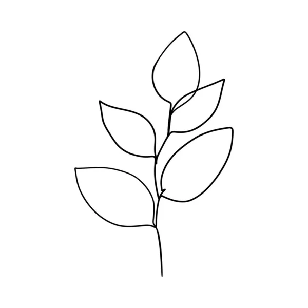 Ботаническая цветочная ветвь. Абстрагируясь от одной линии рисунка, органические травянистые листья художественного оформления. Векторная иллюстрация — стоковый вектор