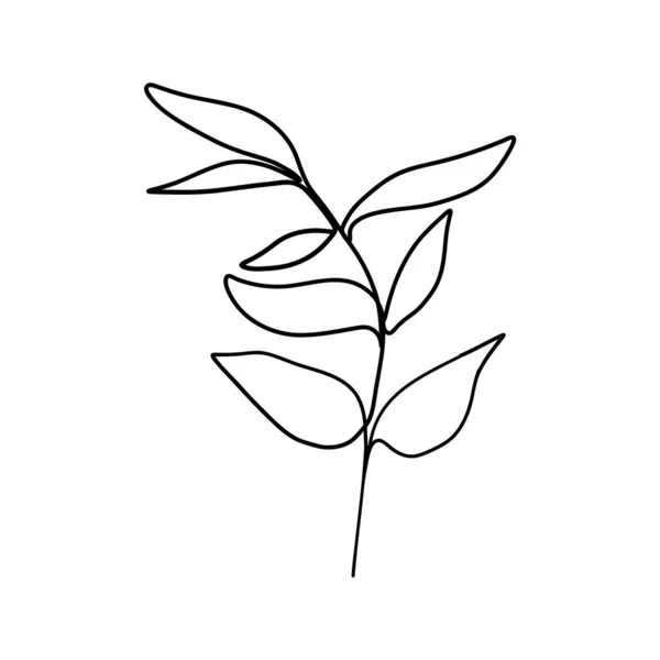 Ботаническая цветочная ветвь. Абстрактная непрерывная рисование одной линии, каракули органические травы листвы. Векторная иллюстрация — стоковый вектор