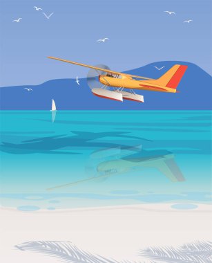 A beach in the shade of palm trees, mountains, seagulls, a clear and warm sea, a hydroplane over the sea.