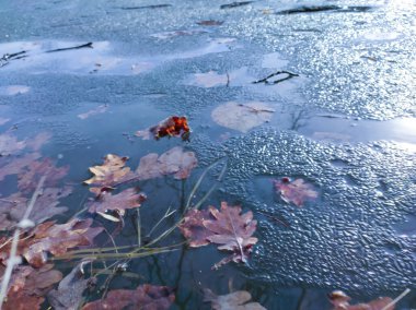 Nehirde düşen ağaç yapraklarıyla eriyen bahar..