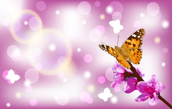 Kelebek Boyalı Kadın Vanessa Cardui Şeftali Ağacının Çiçek Açan Dalına — Stok Vektör