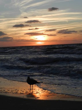 Beautiful sunset on the Baltic Sea. A walk along the seashore during your vacation. Perfect wallpaper.