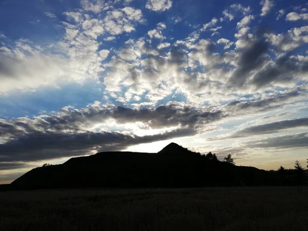 Beautiful sunset. Trees against the sky. Perfect wallpaper.