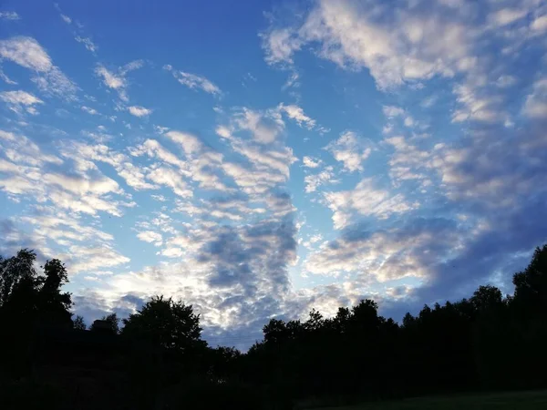 Hermoso Atardecer Árboles Contra Cielo Papel Pintado Perfecto — Foto de Stock