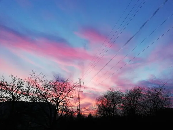 Beautiful Sunset Trees Sky Perfect Wallpaper — Fotografia de Stock