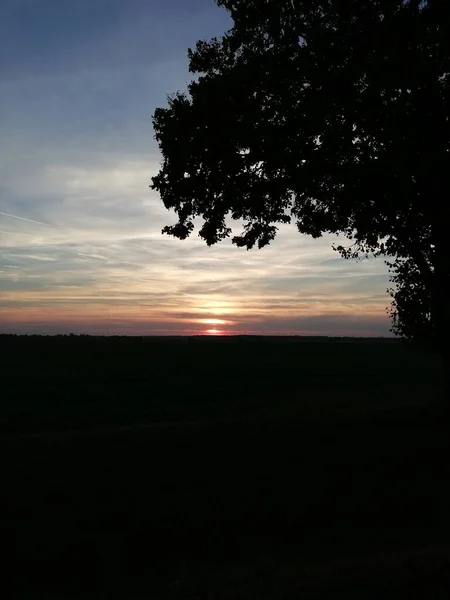 Beau Coucher Soleil Des Arbres Contre Ciel Papier Peint Parfait — Photo