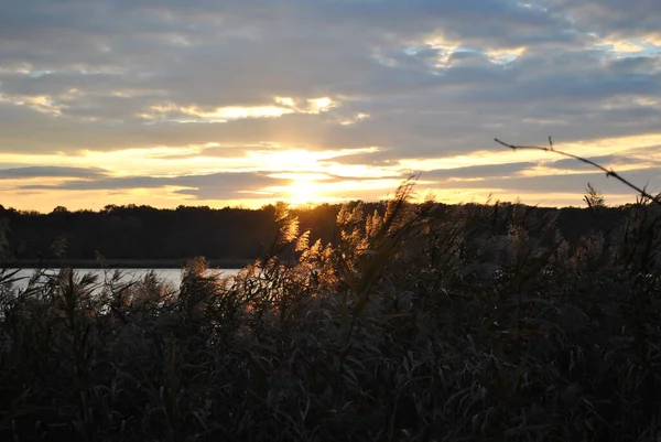 Beautiful Sunset Lake Evening Walk Lake Shore Perfect Wallpaper — Φωτογραφία Αρχείου