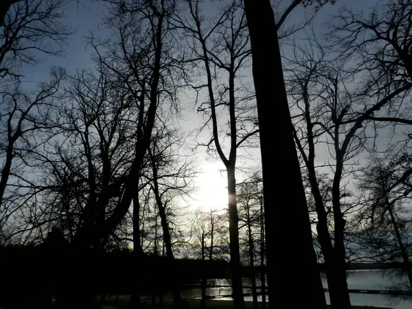 Beautiful sunset on the lake. Evening walk along the lake shore. Perfect wallpaper.