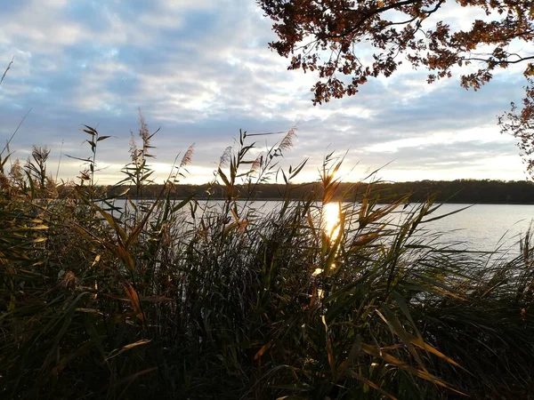 Beautiful Sunset Lake Evening Walk Lake Shore Perfect Wallpaper — Stockfoto