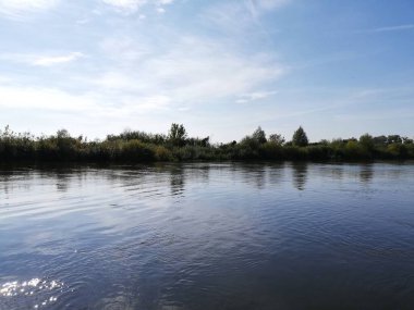 Photo of a river flowing through a beautiful park. Spring Summer. Perfect for wallpaper.
