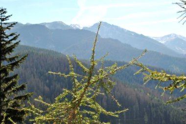 Beautiful mountain landscape. A trail leading through the Tatra National Park.