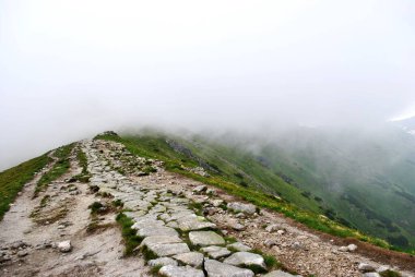 Beautiful mountain landscape. A trail leading through the Tatra National Park.