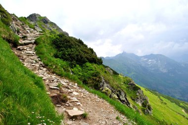 Beautiful mountain landscape. A trail leading through the Tatra National Park.
