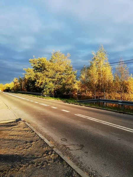 Fragment Road Way Wilderness Perfect Wallpaper — Stock Photo, Image