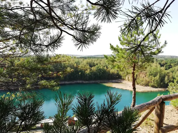 An atmospheric sunset over a beautiful lake in the park. 