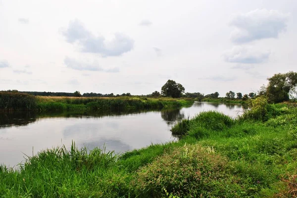 Photo of a river flowing through a beautiful park. Spring Summer. Perfect for wallpaper.