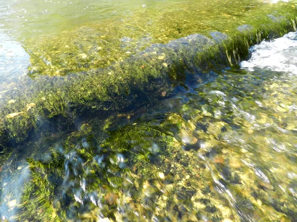 Foto Río Que Fluye Través Hermoso Parque Primavera Verano Perfecto — Foto de Stock