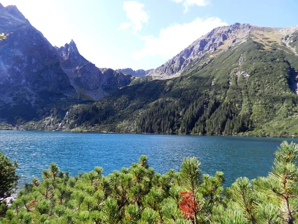 Beautiful Lake National Park Tatry Mountains Spring Summer — стокове фото